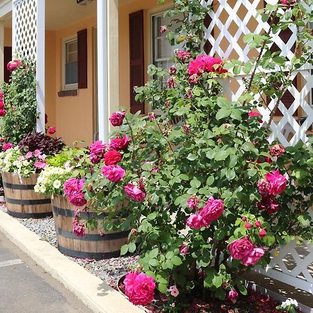The Bay Willows Inn Middletown Exterior foto